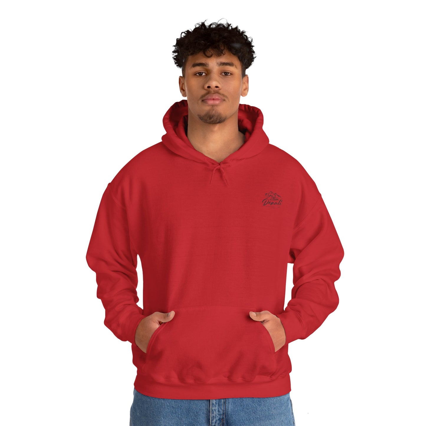 Multi colour denali logo
