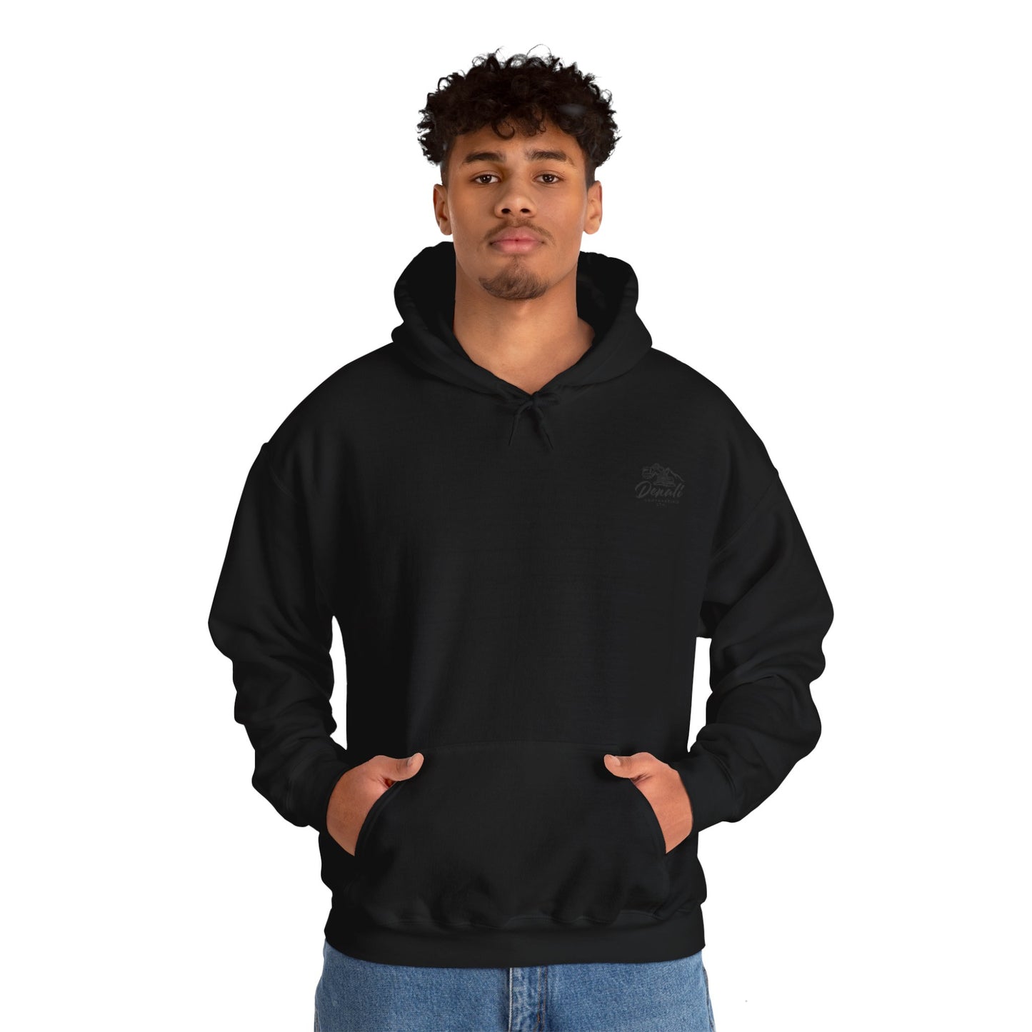 Multi colour denali logo