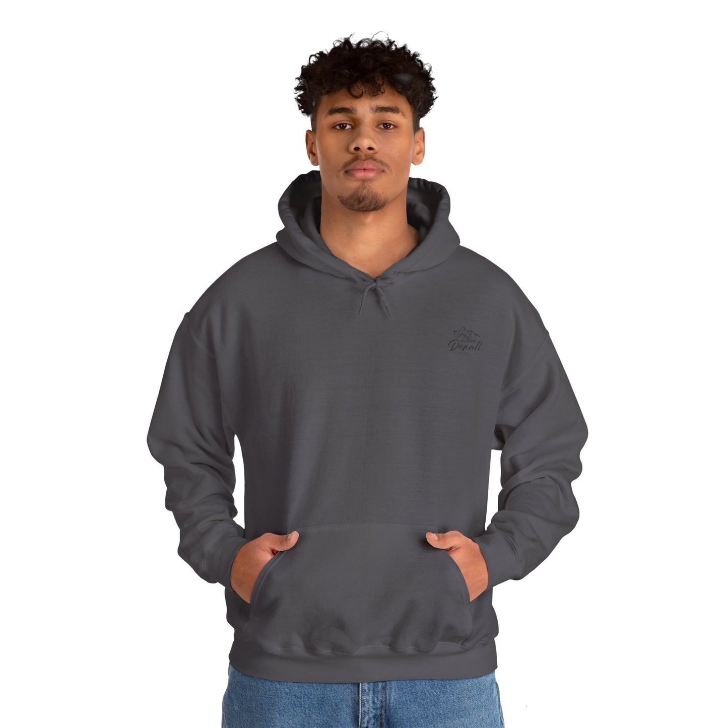Multi colour denali logo